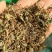 积雪草选货颜色好量大从优欢迎选购