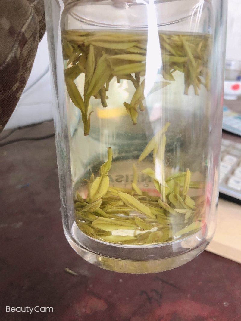 黄金芽，黄金叶，白茶