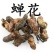 金蝉花干净无杂质1市斤起包邮量大从优