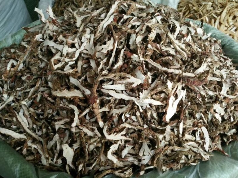 石菖蒲，货干颜色漂亮，大量供应广西地产石菖蒲现货