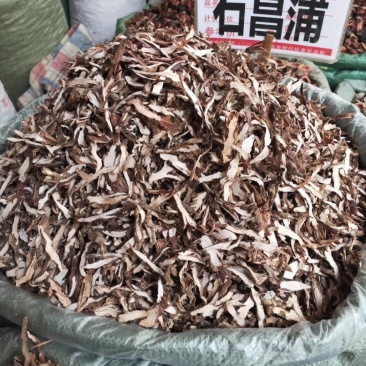 石菖蒲，货干颜色漂亮，大量供应广西地产石菖蒲现货