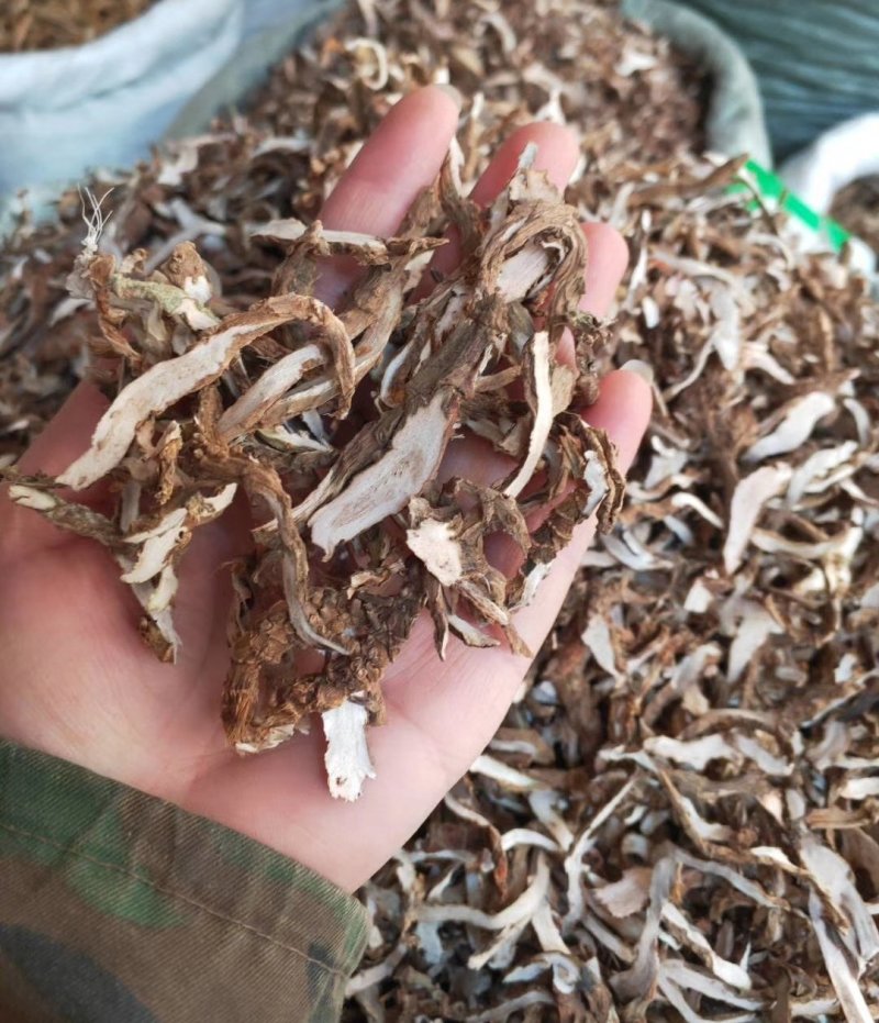 石菖蒲，货干颜色漂亮，大量供应广西地产石菖蒲现货