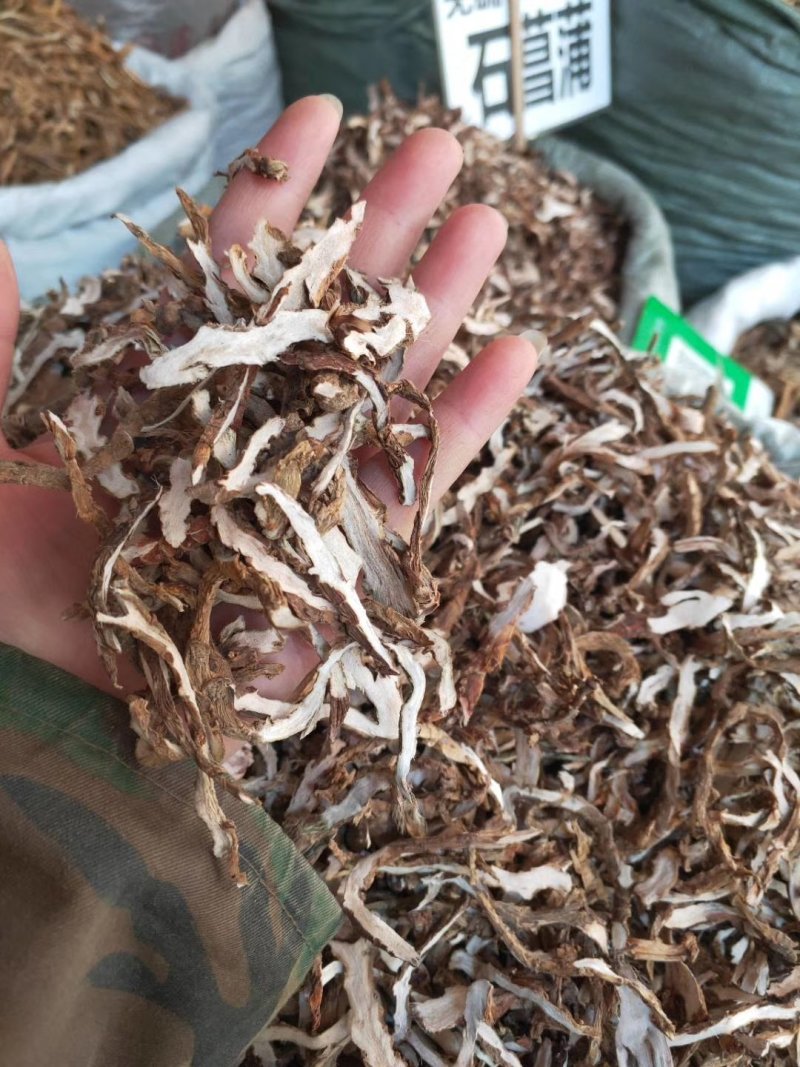 石菖蒲，货干颜色漂亮，大量供应广西地产石菖蒲现货
