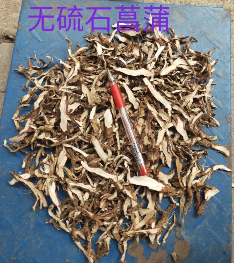 石菖蒲，货干颜色漂亮，大量供应广西地产石菖蒲现货
