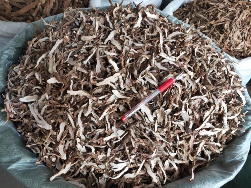 石菖蒲，货干颜色漂亮，大量供应广西地产石菖蒲现货