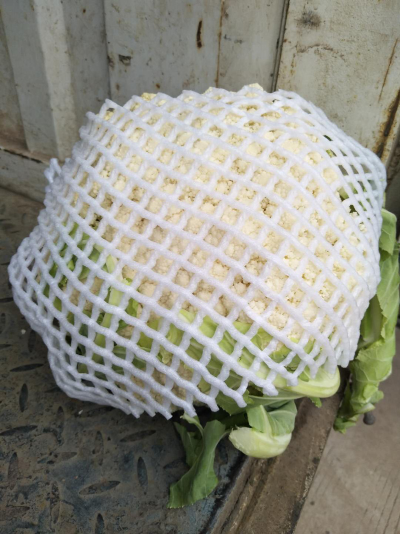 湖北有机花菜青梗白面支持视频在线看货，线上交易