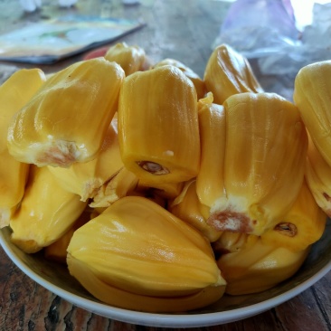菠萝蜜产地直供，可视频产地看货