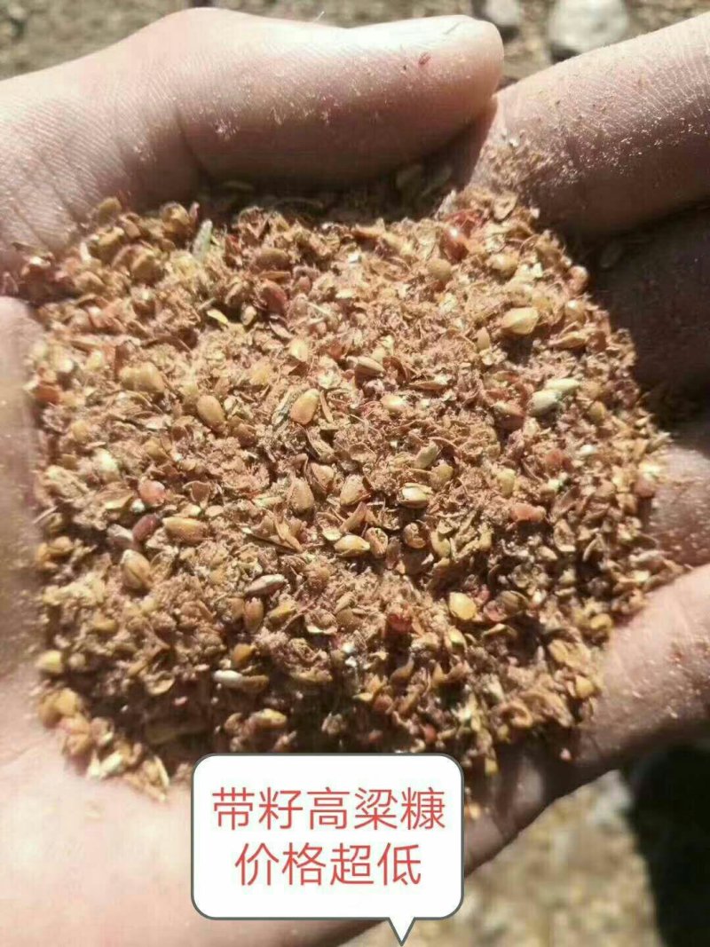 高粱下脚料大量出售各种规格高粱下脚