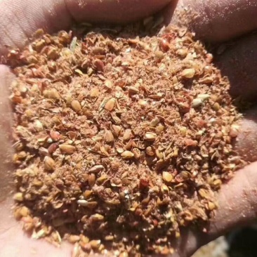 高粱下脚料大量出售各种规格高粱下脚
