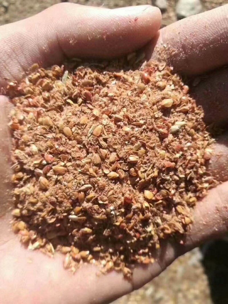 高粱下脚料大量出售各种规格高粱下脚