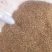 高粱下脚料大量出售各种规格高粱下脚