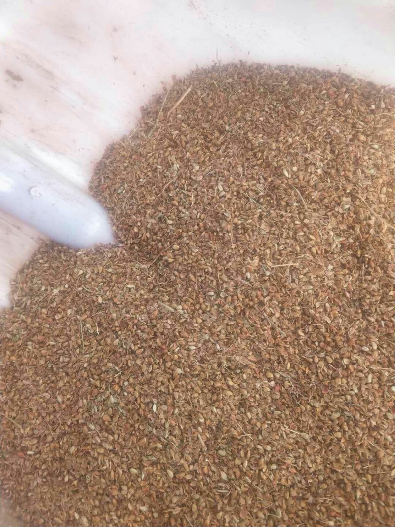 高粱下脚料大量出售各种规格高粱下脚