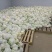 青梗松花100000亩花菜地，海量代发货，产地供货