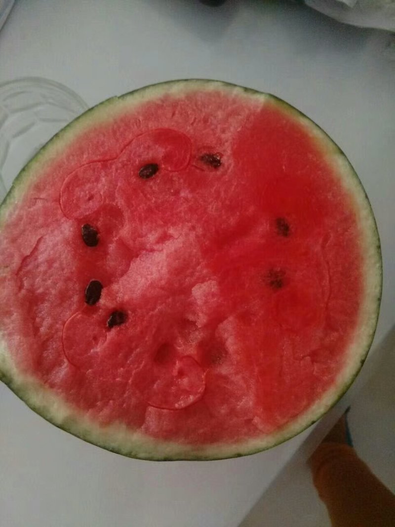 2k西瓜，各种各样的西瓜看网店。