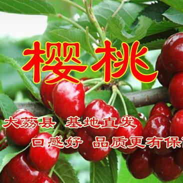 农家采摘【精品樱桃】口感香甜全国发货欢迎下单