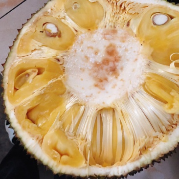 广东菠萝蜜产地直销.大量新鲜现货供应.专业代办全国各地