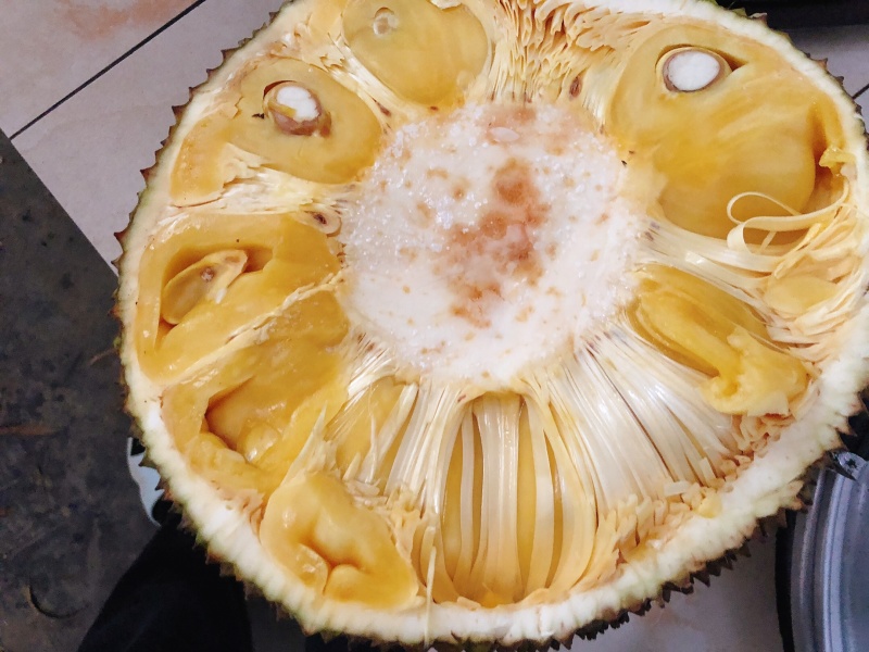 广东菠萝蜜产地直销.大量新鲜现货供应.专业代办全国各地