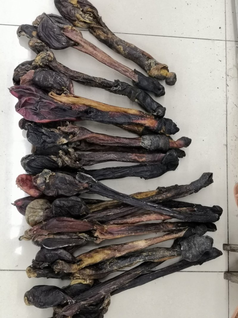 驴鞭新货驴鞭鞭大鞭长鞭各种鞭各种中药材