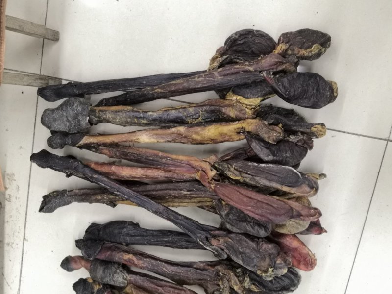 驴鞭新货驴鞭鞭大鞭长鞭各种鞭各种中药材