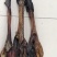 驴鞭新货大驴鞭鞭大鞭各种鞭长鞭