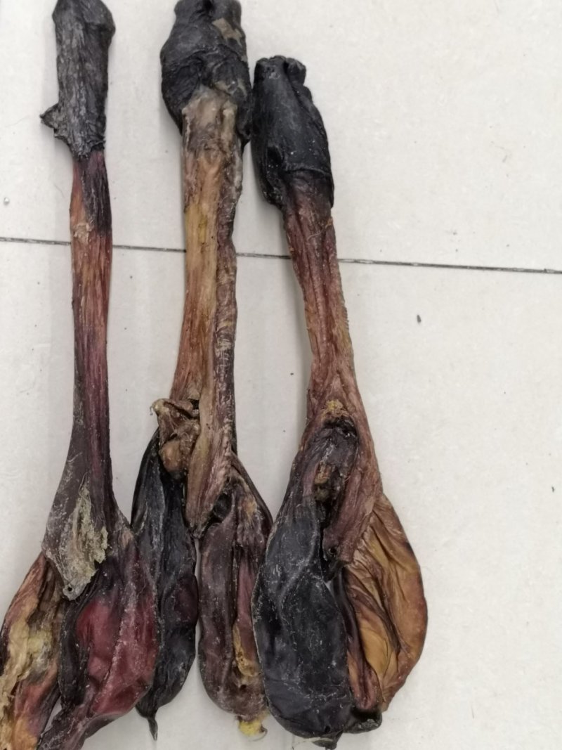 驴鞭新货大驴鞭鞭大鞭各种鞭长鞭