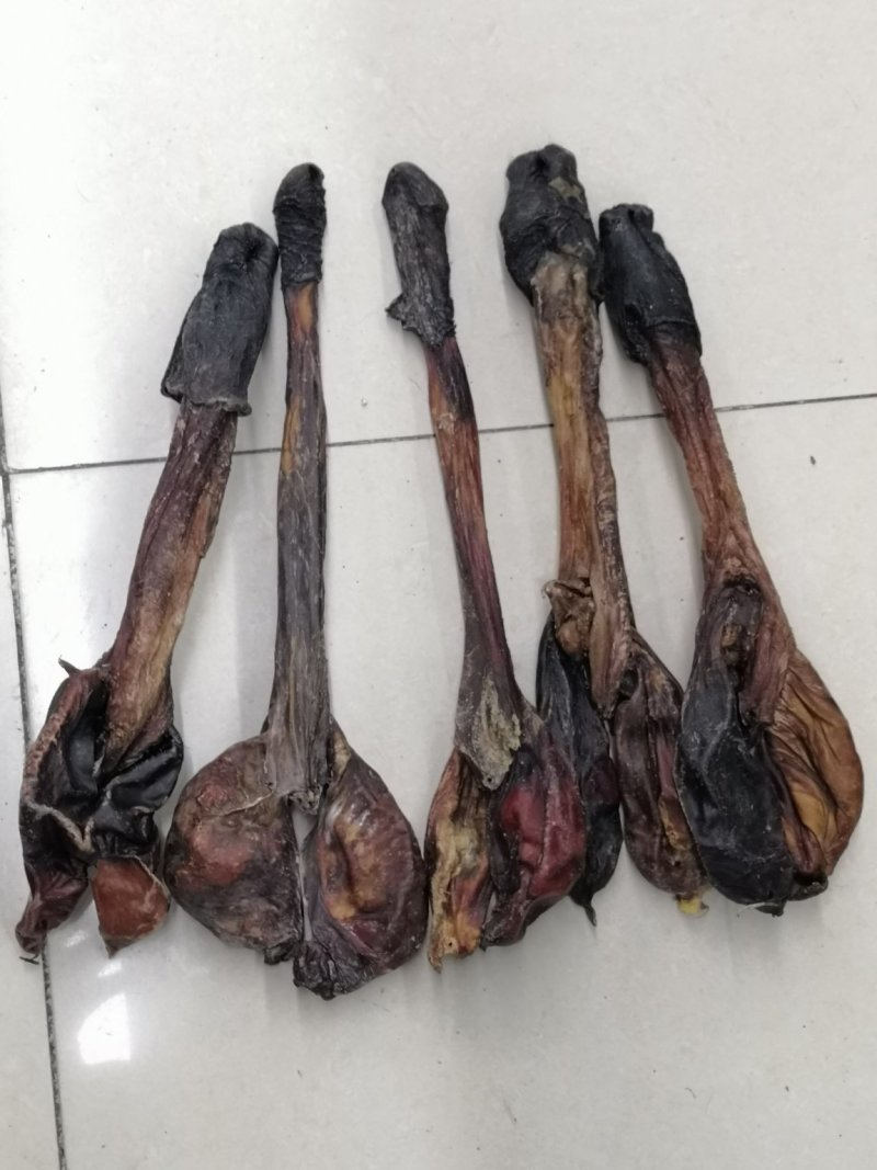 驴鞭新货大驴鞭鞭大鞭各种鞭长鞭