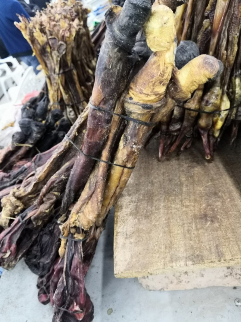 驴鞭新货大驴鞭鞭大鞭各种鞭长鞭