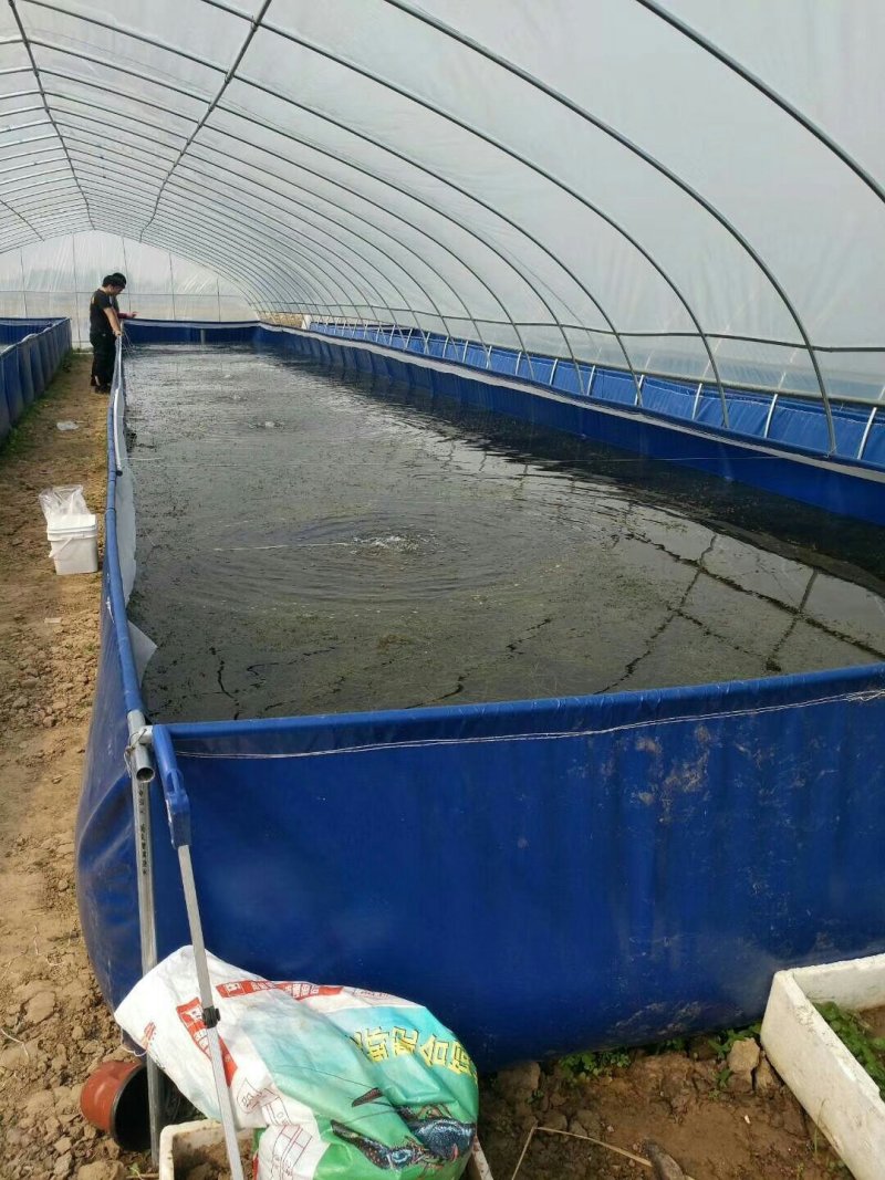 养殖帆布水池大棚鱼池加厚刀刮布水池水蛭龙虾对虾锦鲤鱼水箱