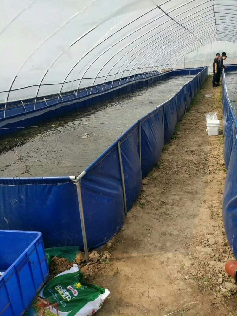 养殖帆布水池大棚鱼池加厚刀刮布水池水蛭龙虾对虾锦鲤鱼水箱