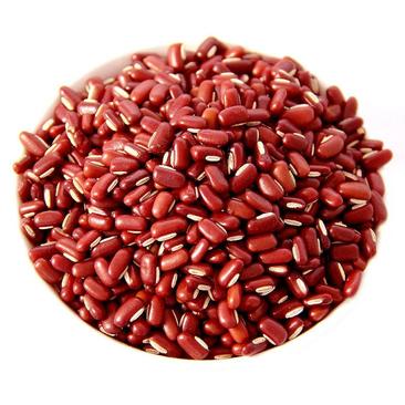 赤小豆药食两用长粒赤小豆干净药食同源