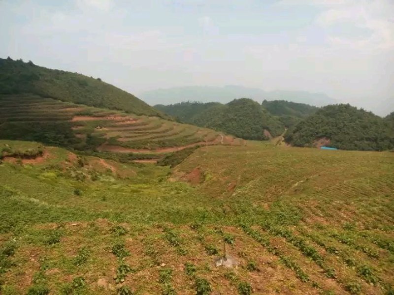 连片一千亩优质土地出租出售