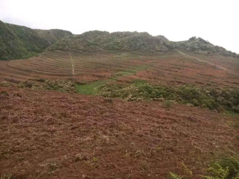 连片一千亩优质土地出租出售