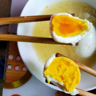绿壳蛋土鸡蛋乌鸡蛋黑土鸡蛋