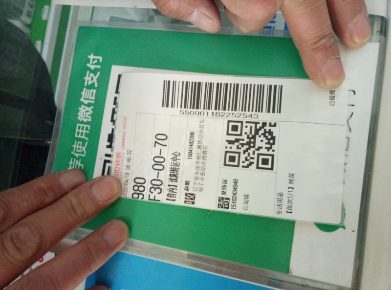 甜秋白，京玉，燕京久宝桃苗，王林苹果苗。