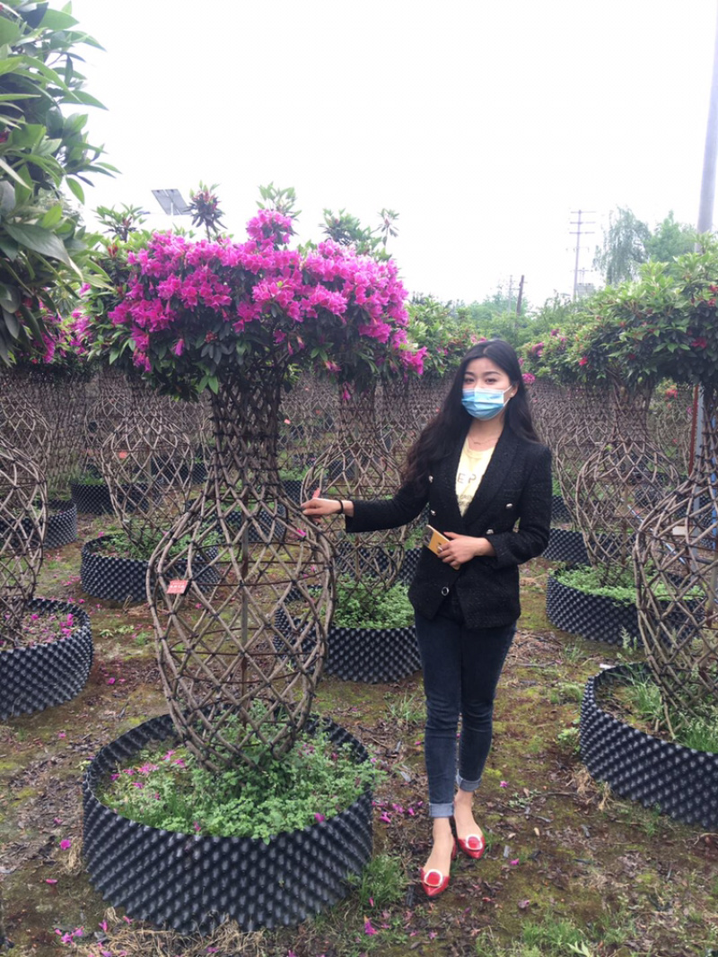杜鹃花瓶杜鹃花工程用杜鹃花瓶造型杜鹃造型