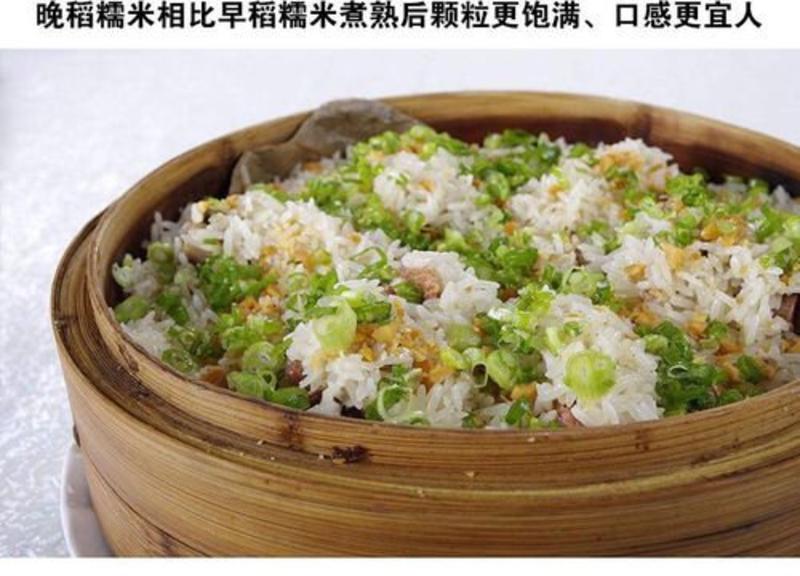 长粒糯米22年新货优质长江米粽子米颗粒饱满口感软糯