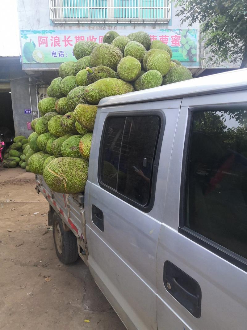 马来西亚一号菠萝蜜专业装车精品打包专业找回头车，诚信经营