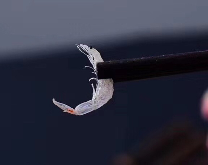 农村人，精制虾皮，海鲜干货，补钙效果好。