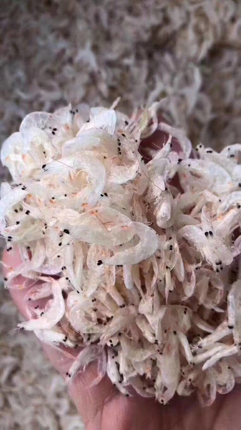 农村人，精制虾皮，海鲜干货，补钙效果好。