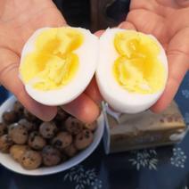 双黄雁鹅蛋大量供应新鲜个大开产樱桃谷白皮双黄蛋