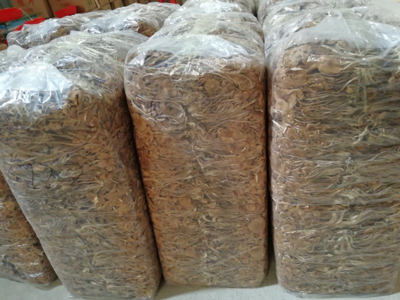 原产地厂家直销福建茶树菇干茶树菇包品质包售后