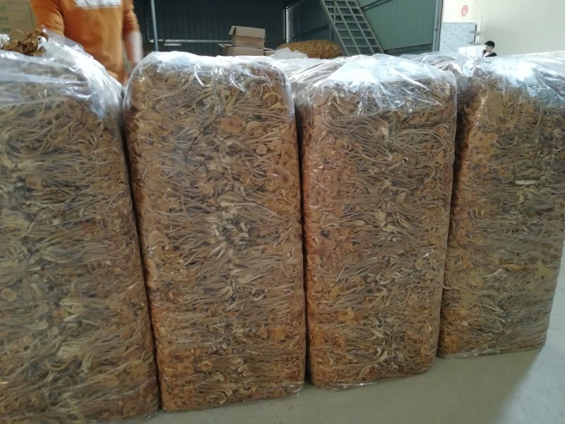 原产地厂家直销福建茶树菇干茶树菇包品质包售后