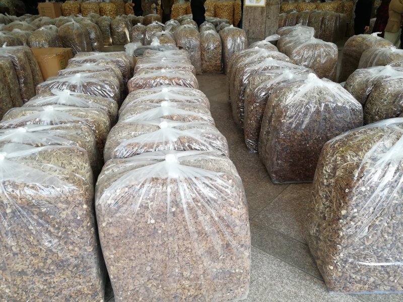原产地厂家直销福建茶树菇干茶树菇包品质包售后