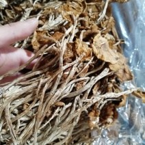 原产地厂家直销福建茶树菇干茶树菇包品质包售后