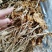 原产地厂家直销福建茶树菇干茶树菇包品质包售后