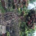 杜鹃花花瓶，杜鹃花造型