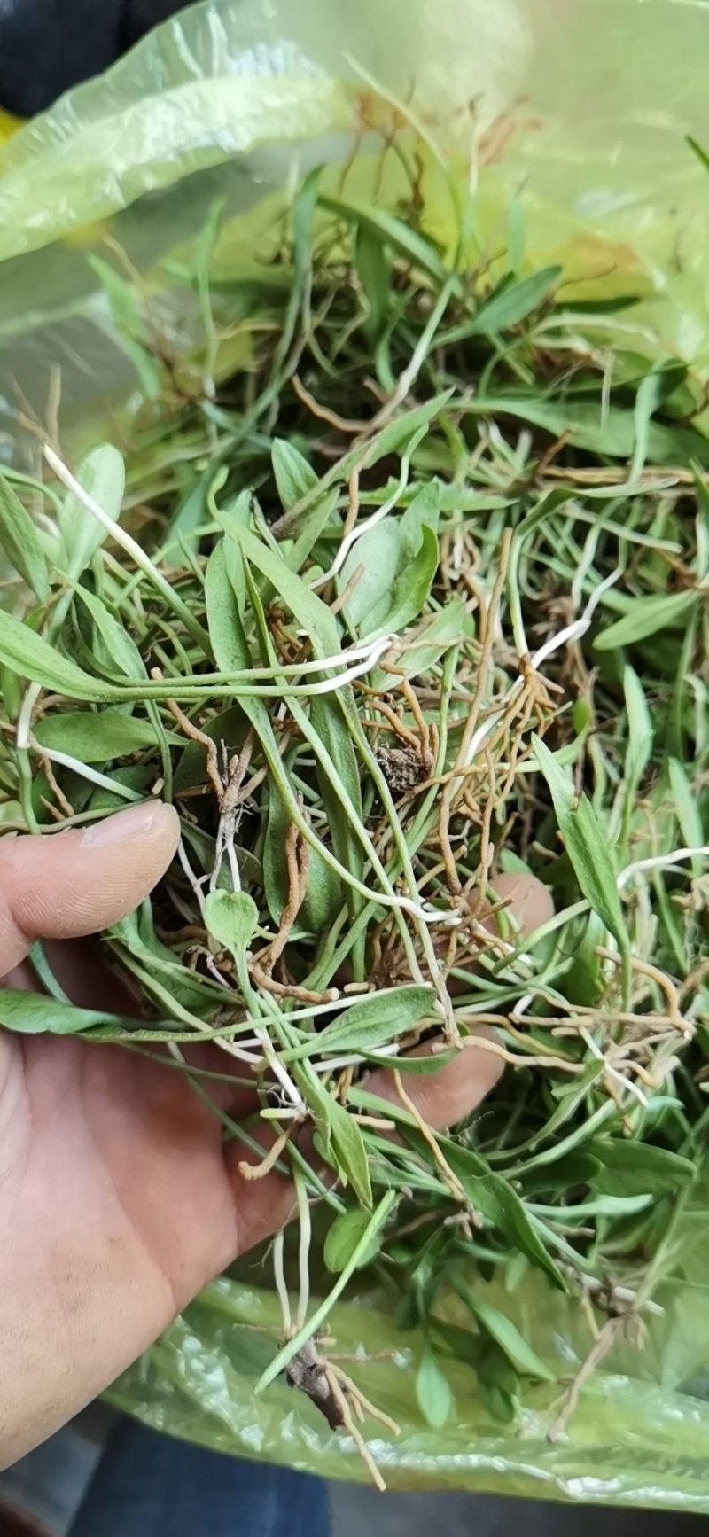一支箭