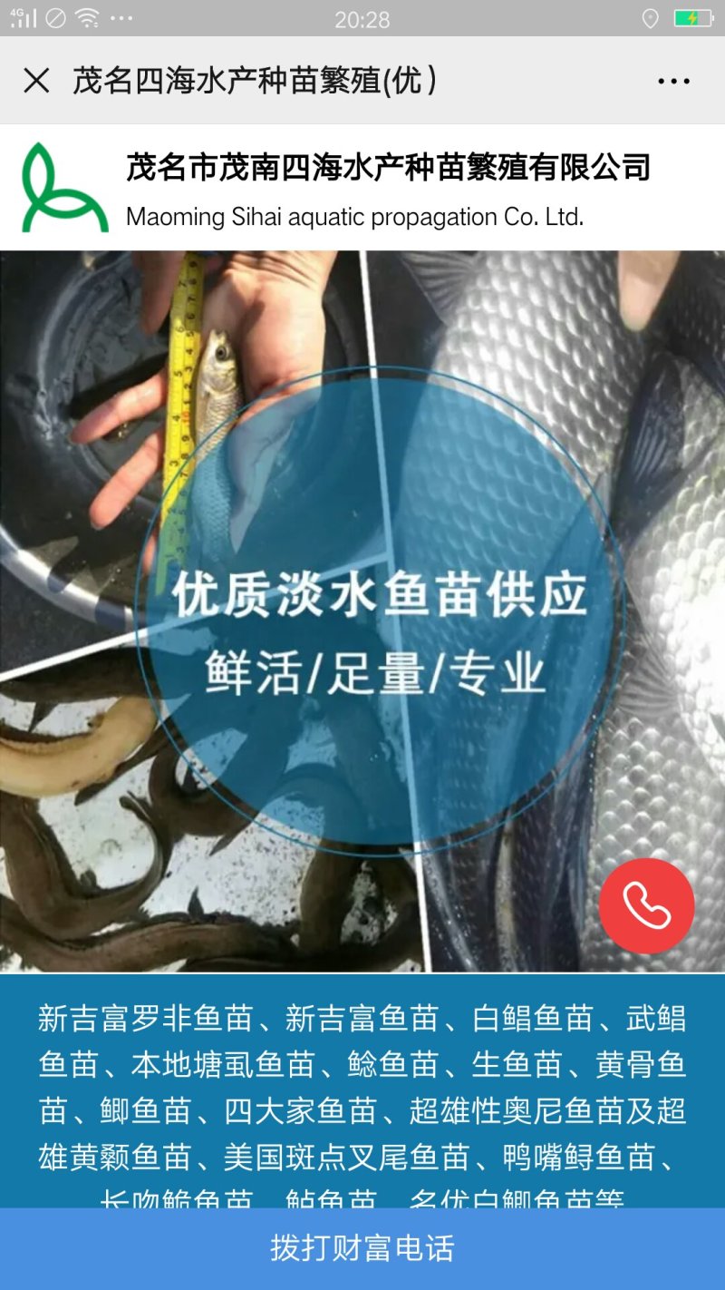 叉尾鲴鱼苗