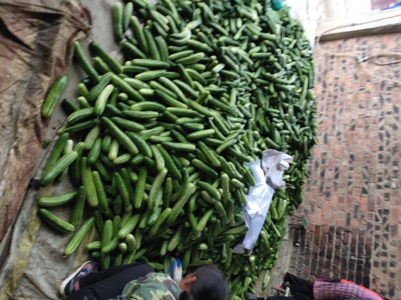 弧瓜大量上市中货好新鲜口感好还有其它蔬菜
