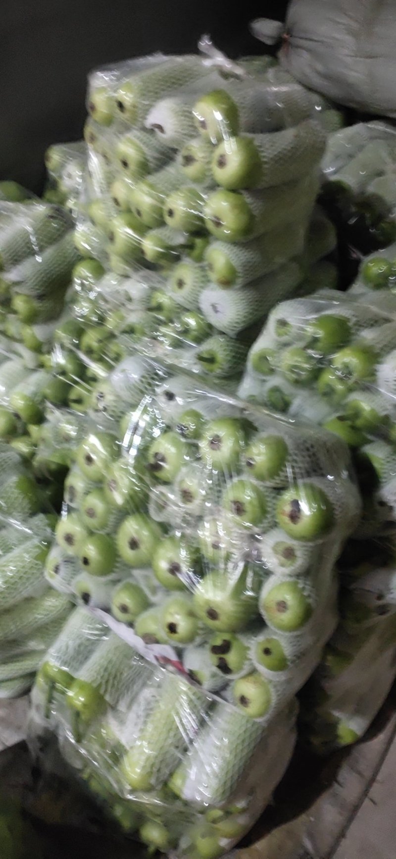 弧瓜大量上市中货好新鲜口感好还有其它蔬菜